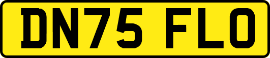 DN75FLO