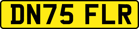 DN75FLR