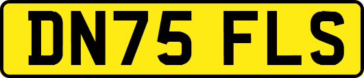 DN75FLS