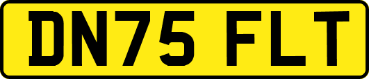 DN75FLT