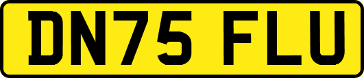 DN75FLU