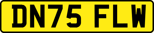 DN75FLW
