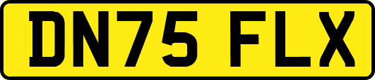 DN75FLX