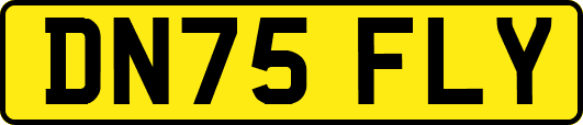DN75FLY