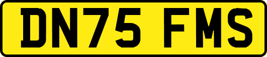 DN75FMS