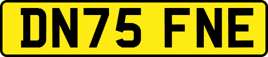 DN75FNE