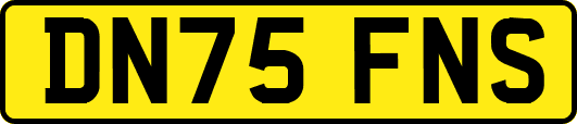 DN75FNS