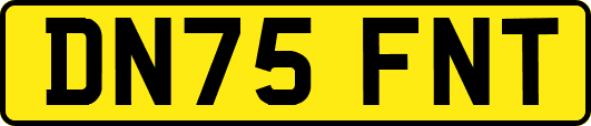 DN75FNT
