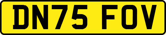 DN75FOV