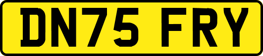 DN75FRY