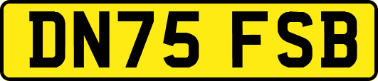 DN75FSB