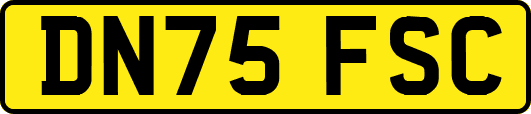 DN75FSC
