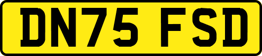 DN75FSD