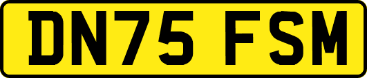 DN75FSM