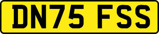 DN75FSS