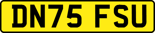 DN75FSU