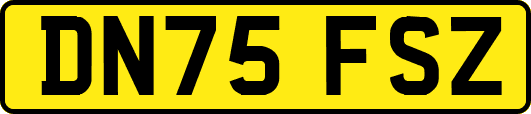 DN75FSZ