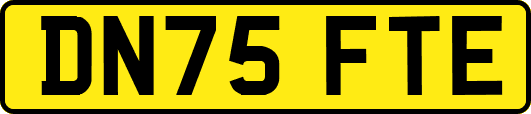 DN75FTE
