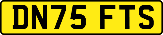 DN75FTS