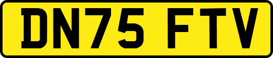 DN75FTV