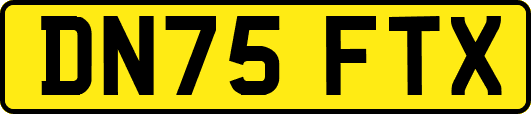 DN75FTX