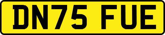 DN75FUE