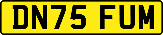 DN75FUM