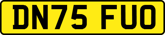 DN75FUO