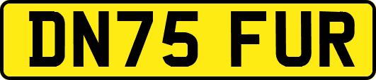 DN75FUR