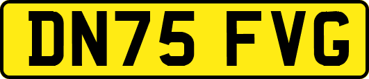 DN75FVG