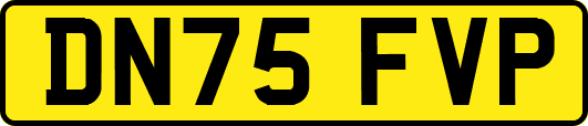 DN75FVP