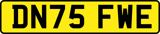 DN75FWE