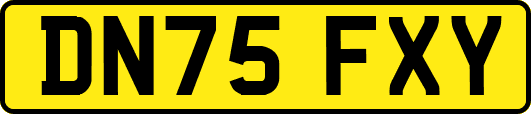 DN75FXY