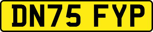 DN75FYP