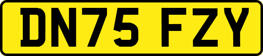DN75FZY