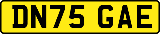 DN75GAE