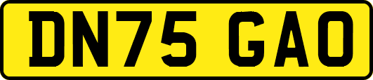 DN75GAO