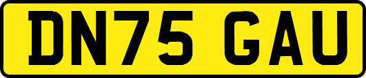 DN75GAU