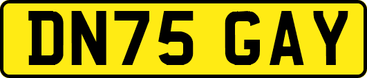 DN75GAY