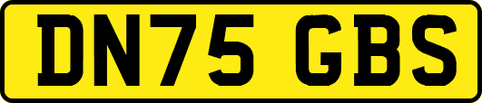 DN75GBS