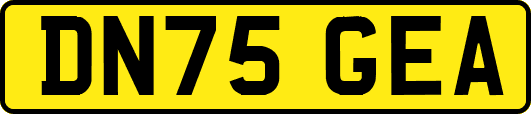 DN75GEA