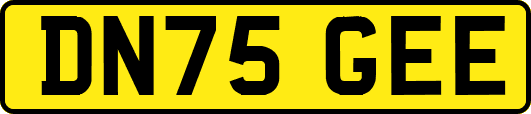 DN75GEE