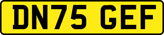 DN75GEF