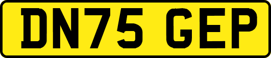 DN75GEP