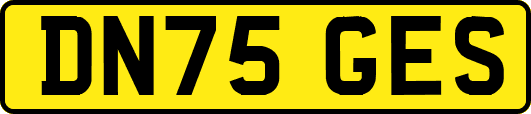 DN75GES