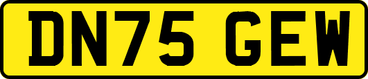 DN75GEW