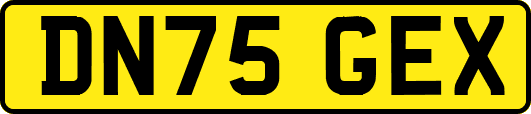 DN75GEX