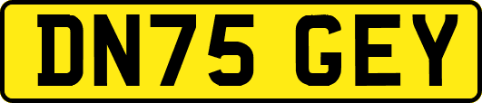 DN75GEY