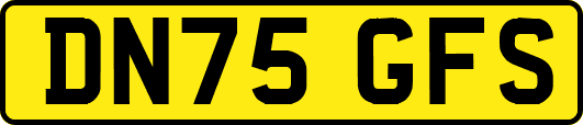 DN75GFS