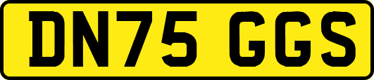 DN75GGS